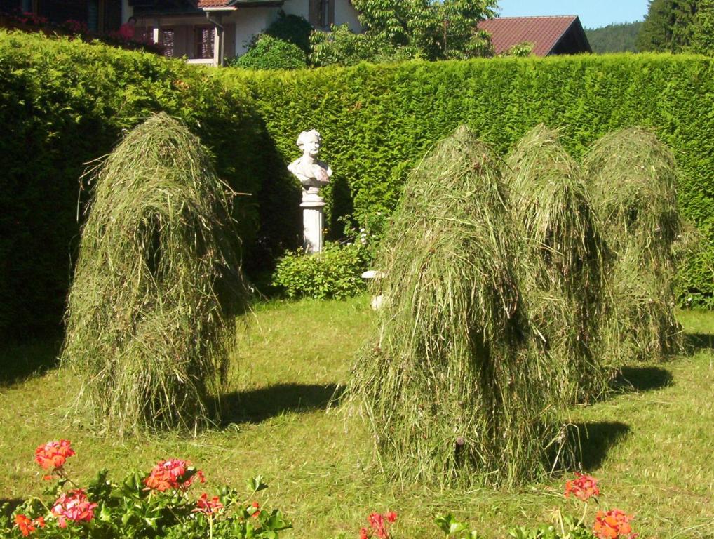 Zahrada ubytování Gasthaus am Zierwald