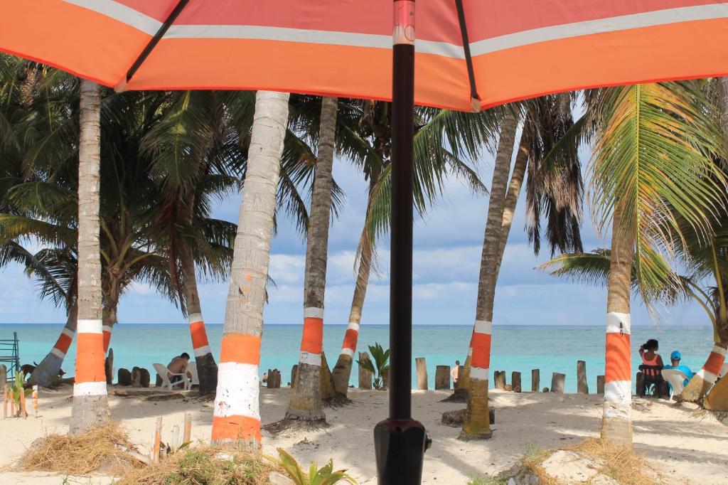 um guarda-sol laranja numa praia com palmeiras em Sunny Beach Apartments em San Andrés