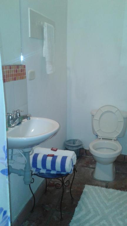 Hostal Casa de los Virreyes - Camera Gemella Standard
