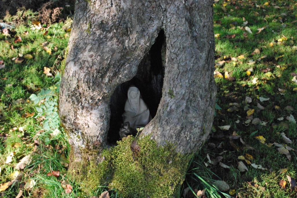 Fotografie z fotogalerie ubytování La petite source v destinaci Florenville