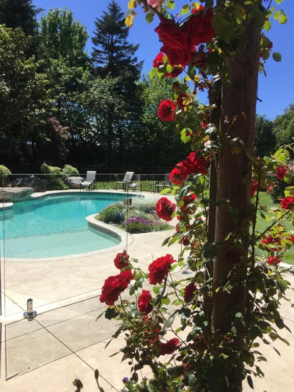 Bluebell Lodge and Cottage - Resim 14