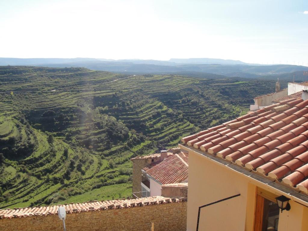 a view of a vineyard from a house at Casa Folch in Castellfort