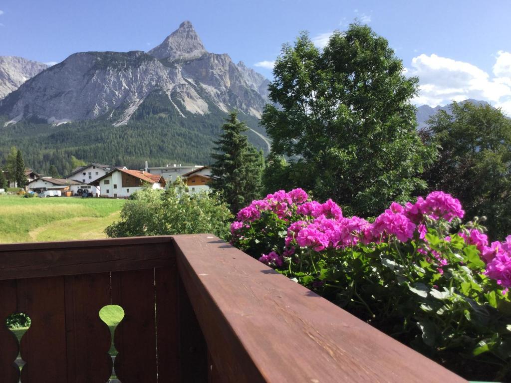 Nespecifikovaný výhled na hory nebo výhled na hory při pohledu z bed and breakfast