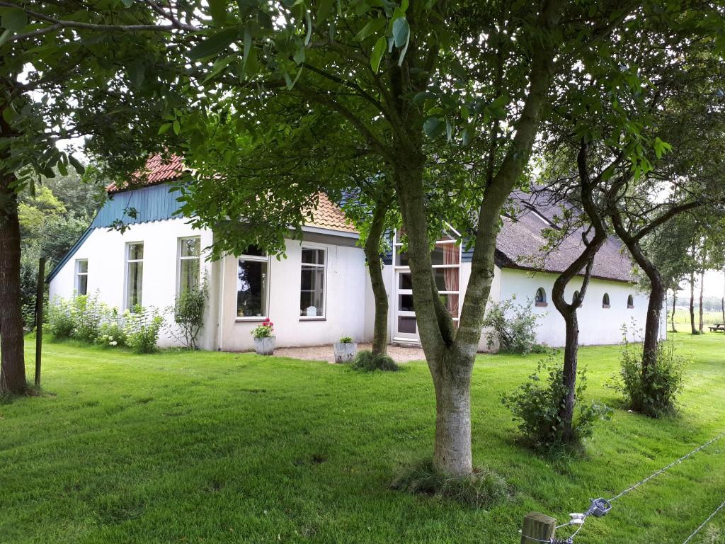 een wit huis met een boom in de tuin bij Voorhuis in Eelde-Paterswolde