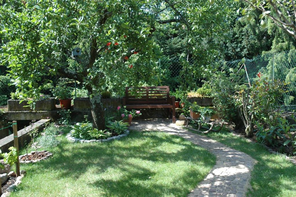 Zahrada ubytování Mirabelle Bed & Breakfast