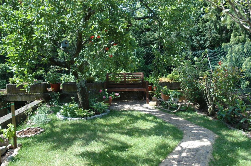 un giardino con panchina e albero di Mirabelle Bed & Breakfast a Ribeauvillé