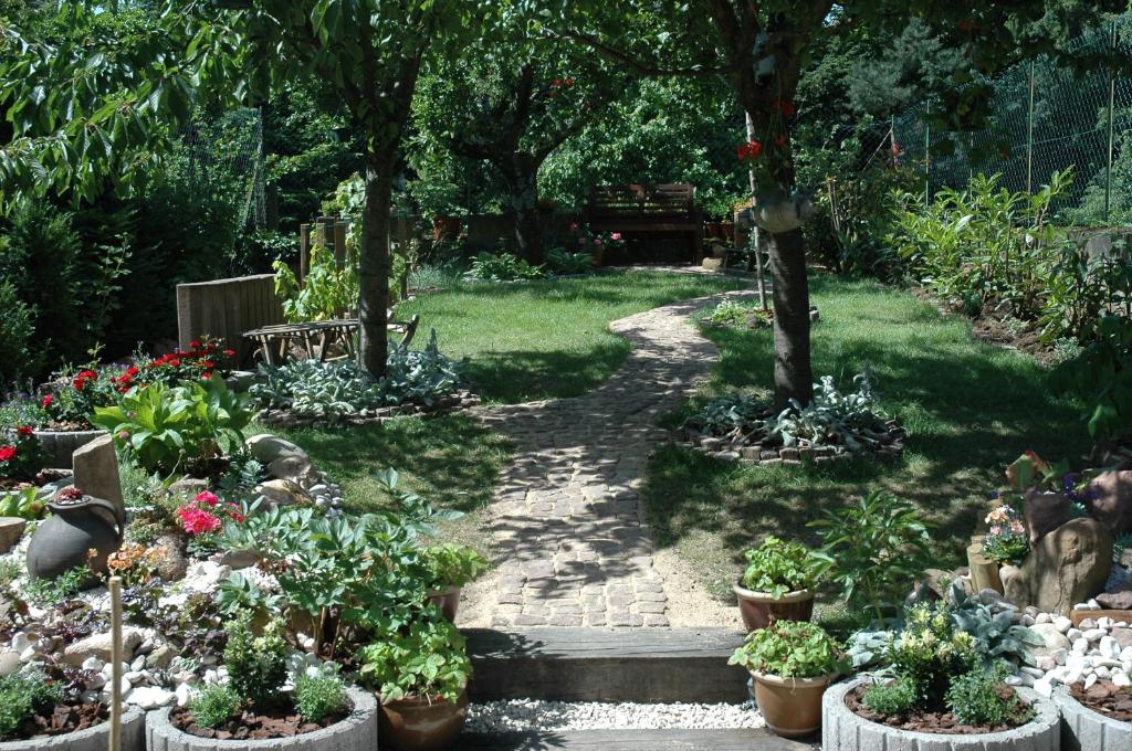 Grand Gite Angelique avec Jardin - Centre Ribeauvillé – photo 23