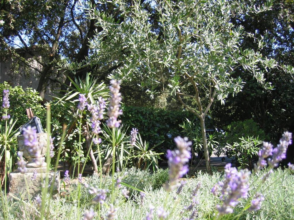 Jardin de l&#39;&eacute;tablissement Le Petit Manoir Logis