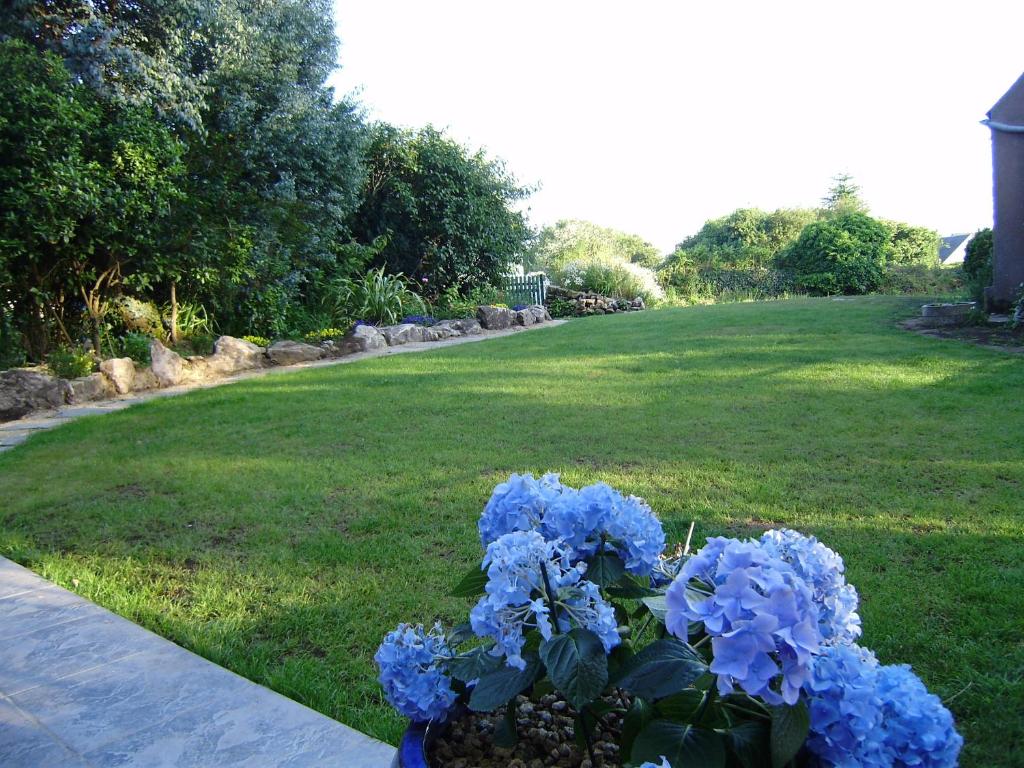 a vase filled with blue flowers on a lawn at Chambres d&#39;hôtes Air Marin in Lannion