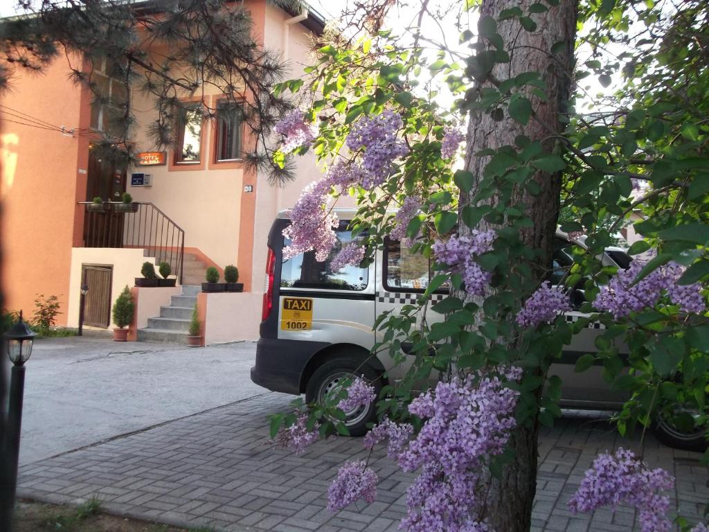 Zahrada ubytování Vila Silia