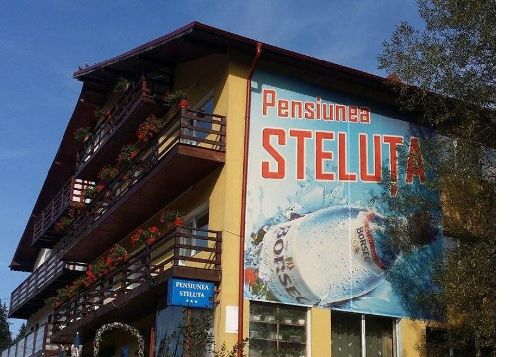 duży znak na boku budynku w obiekcie Pensiunea Steluta w mieście Predeal