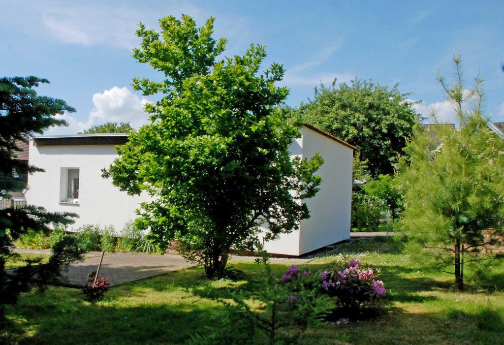 uma casa branca com uma árvore no quintal em Bungalows - Pension Seeper em Sandort