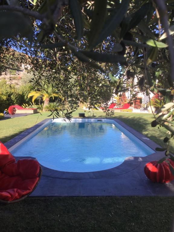a large blue swimming pool in the grass at Mas de Provence en Riviera in La Roquette-sur-Var