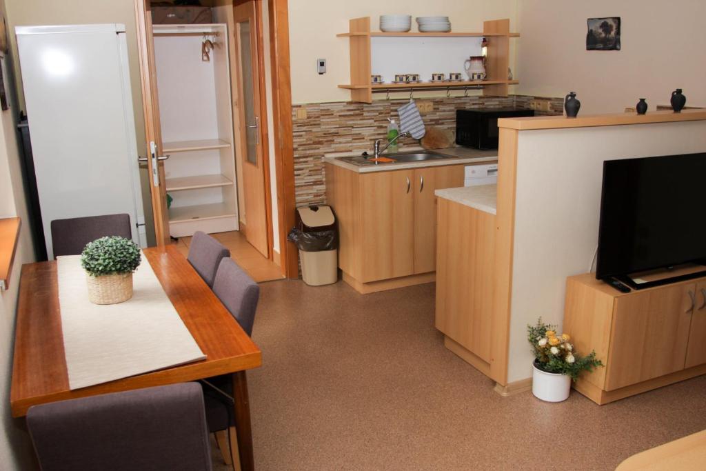Kuchyň nebo kuchyňský kout v ubytování Apartman Sverana