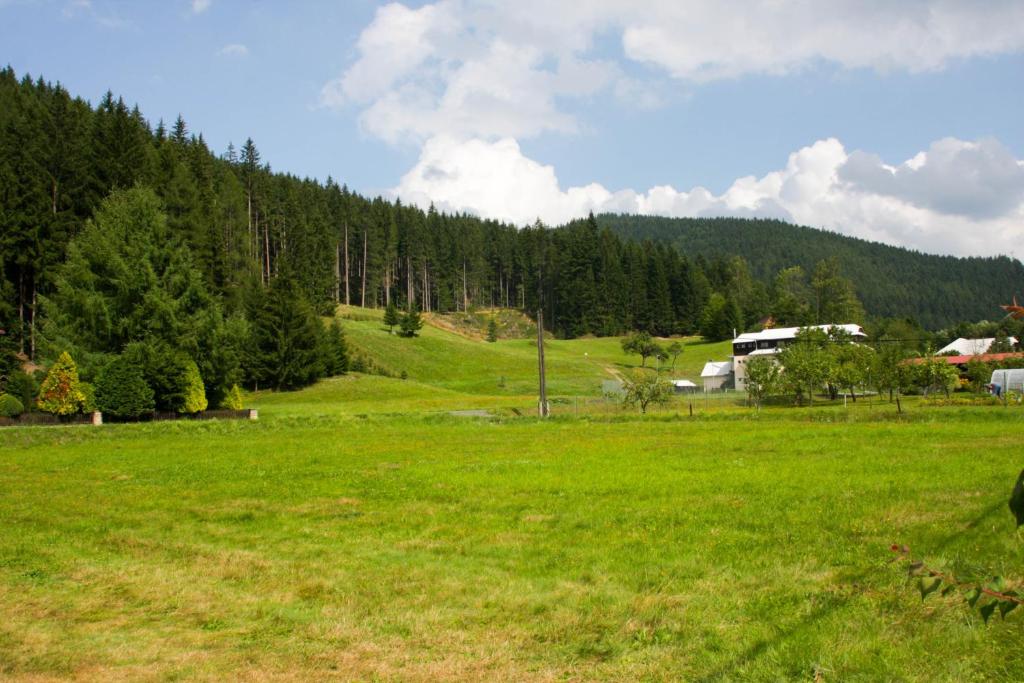 Příroda nedaleko apartmánu