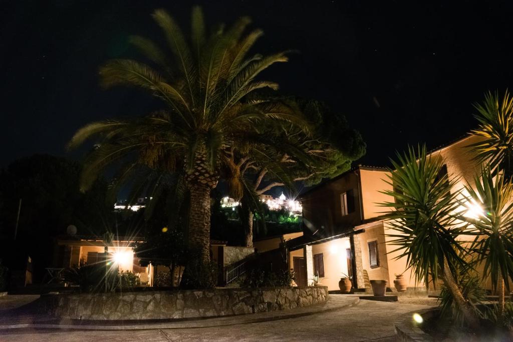 un grupo de palmeras en una calle por la noche en Residence Fiorenzo, en Capoliveri