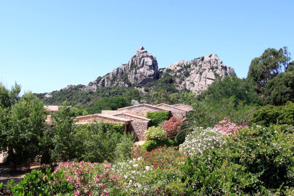 a garden with flowers in front of a mountain at Sapa Di Cala in Bonifacio