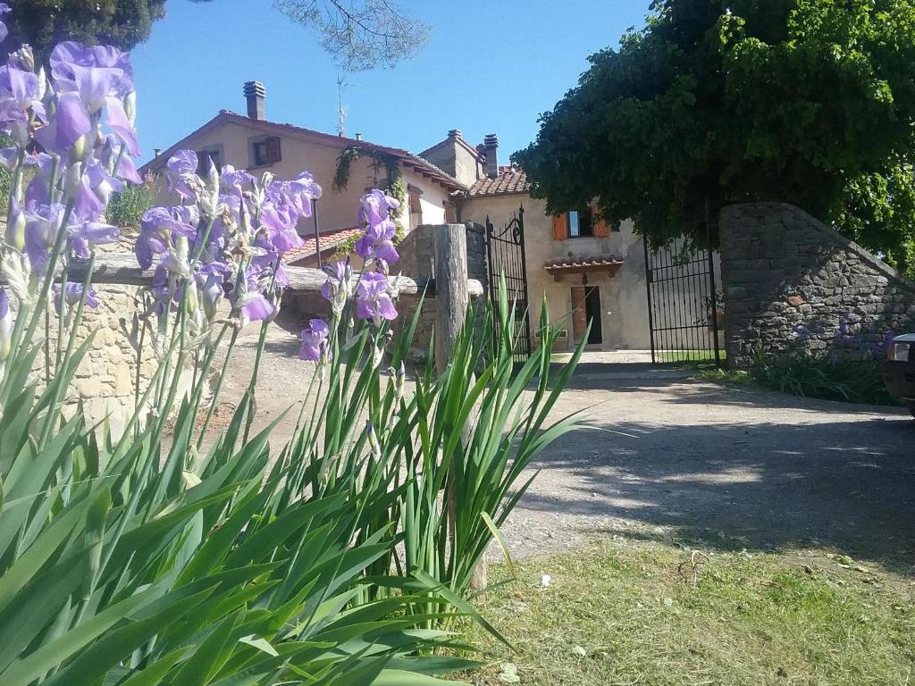 Taman di luar Casa Vacanze Podere Ugolini