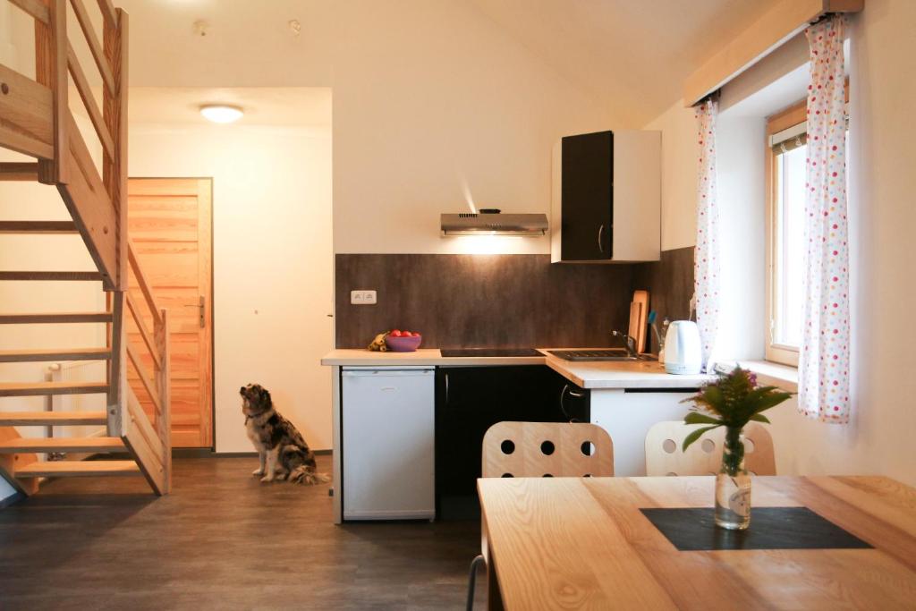 una cucina con un cane seduto accanto a un tavolo di Apartmán Fydorka a Jeseník