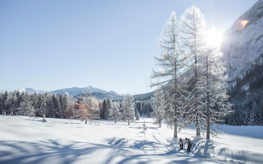 Das Aparthotel Olympia Tirol v zime