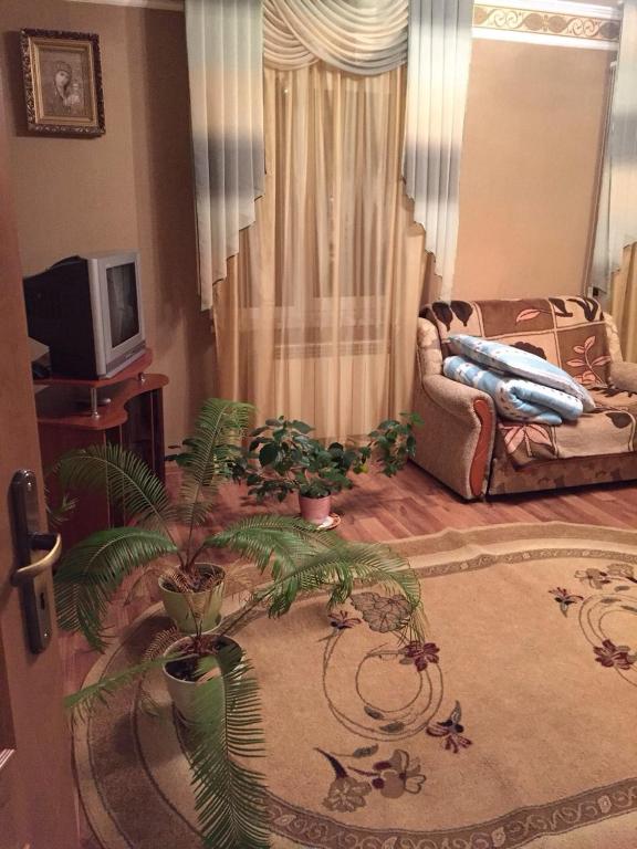 TV a/nebo společenská místnost v ubytování U Zubrytskyh