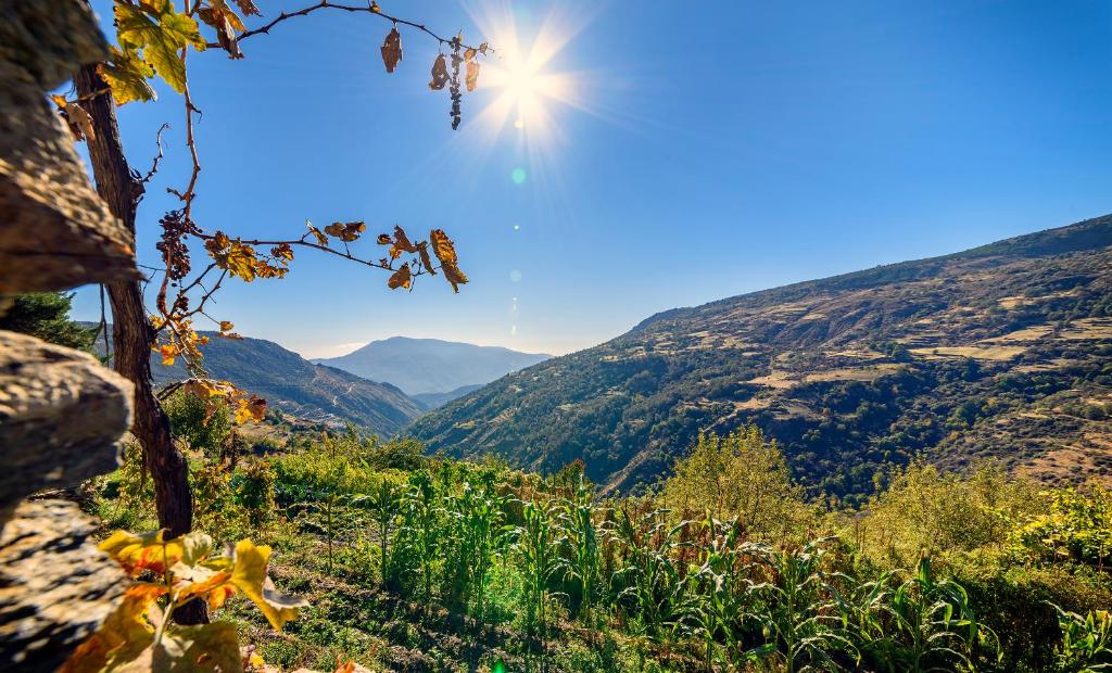 a view of a valley with the sun in the sky at Casa Amaranta in Capileira