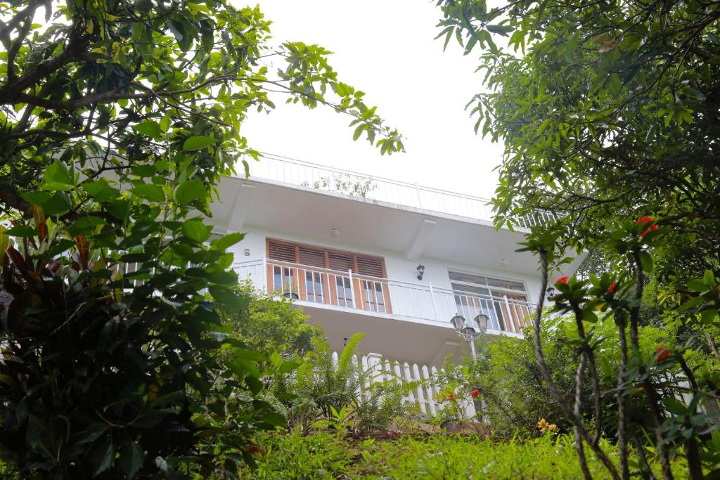 Zahrada ubytování Villa Serene