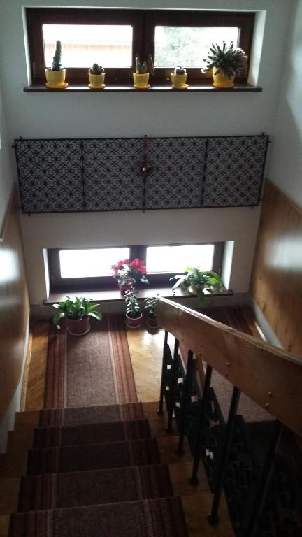 Fotografia z galérie ubytovania Arnika Wynajem Pokoi v Zakopanom