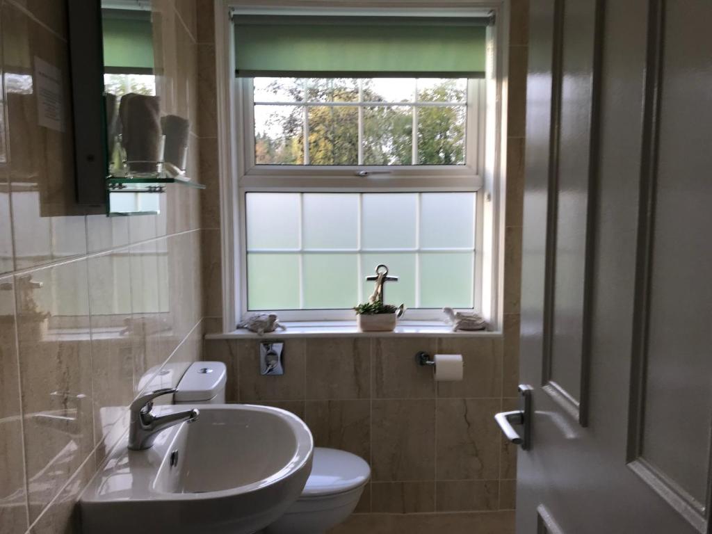 The Black Swan Inn - Resim 26