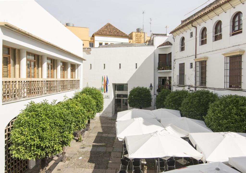 une rangée de parasols blancs sur le côté d'un bâtiment dans l'établissement Albergue Inturjoven Córdoba, à Cordoue