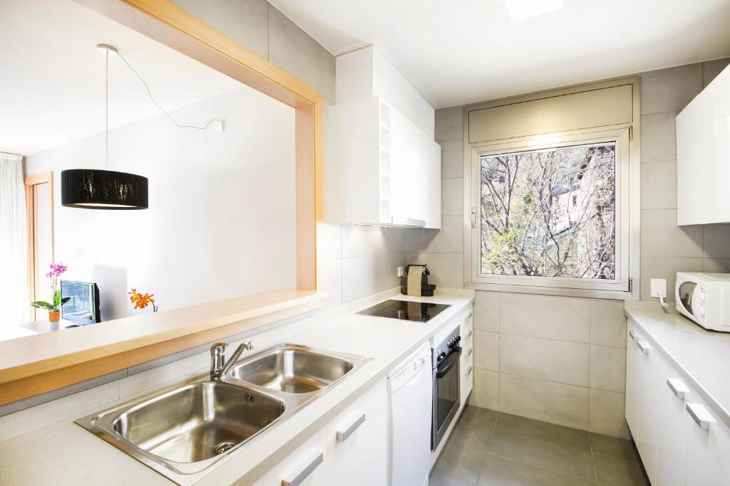 Kuchyň nebo kuchyňský kout v ubytování Tarter Mountain Suites