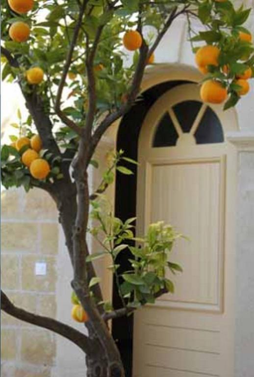 Les Galeries de Beaulac - 3