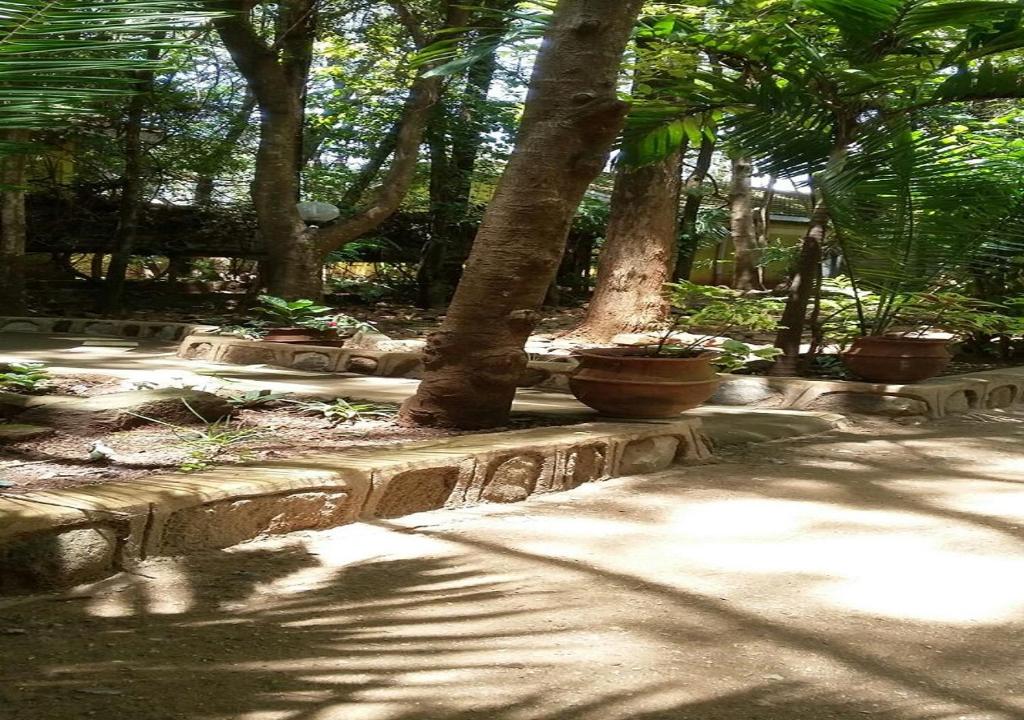 Zahrada ubytování Mamba Village Kisumu