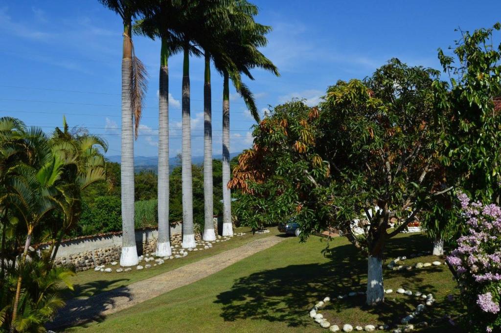 una fila de palmeras en un parque en Hotel Casona Las Juanas en San José de Pare