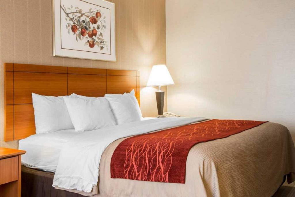 Comfort Inn - 
