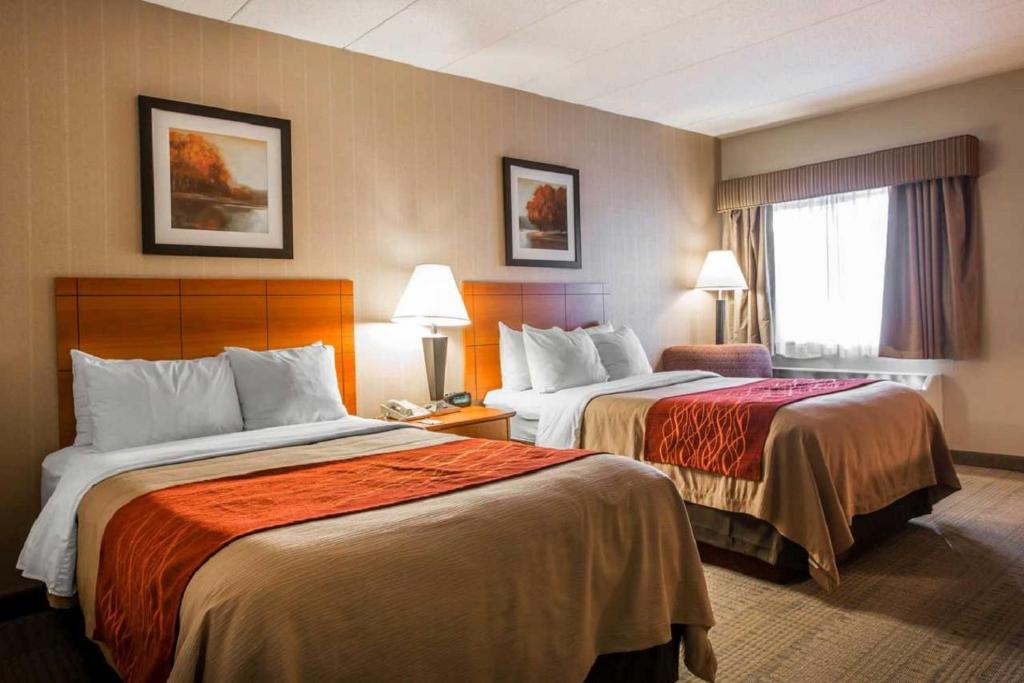 Comfort Inn - 