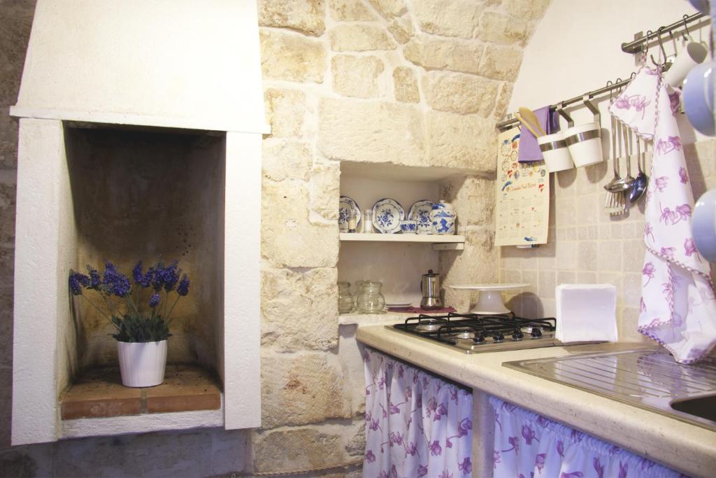 オストゥーニにあるCasa Angelicaの石壁のキッチン(コンロ付)