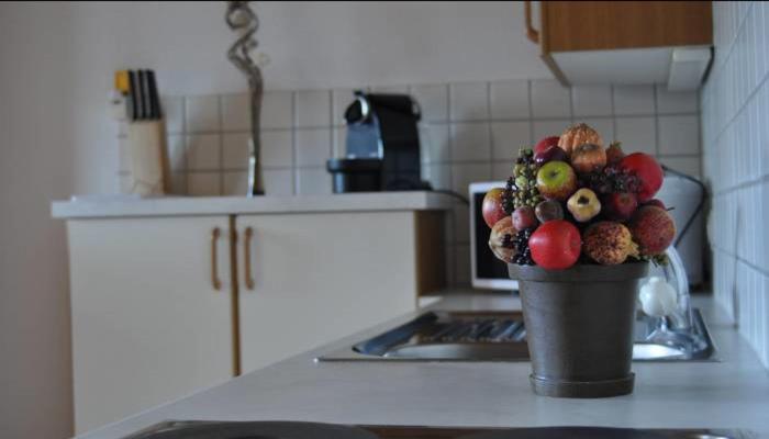 Kuchyň nebo kuchyňský kout v ubytování Appartement Fernsicht Triesenberg