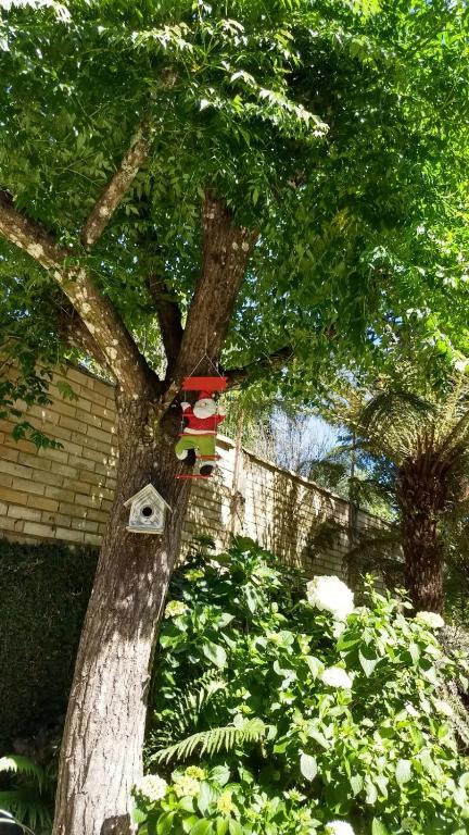 Suíte em Pousada - Gramado - Caminho das Rosas  Suíte em Pousada - Gramado - Caminho das Rosas