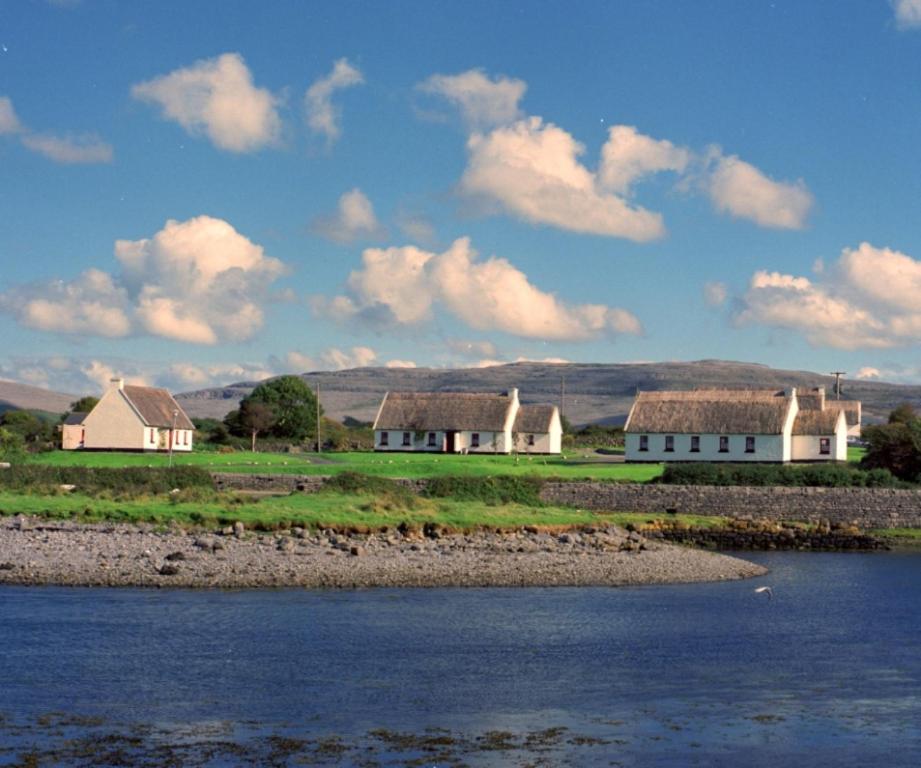 un groupe de maisons à côté d'une masse d'eau dans l'établissement Ballyvaughan Cottages, à Ballyvaughan