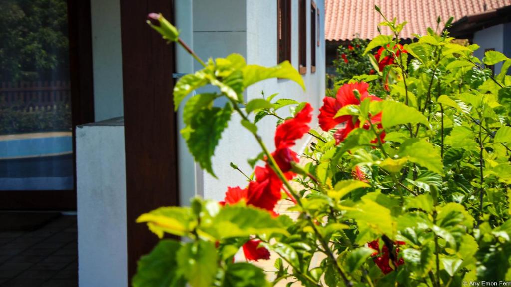  Pipa Casa Eduardo (Condomínio Pipa Natureza)