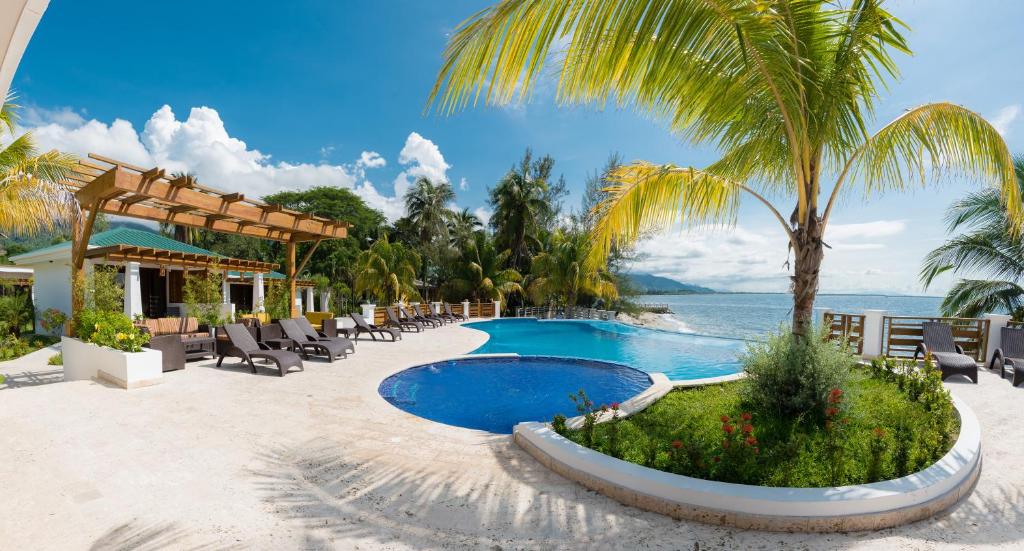 una piscina en un complejo con sillas y una palmera en Paraiso Rainforest and Beach Hotel, en Omoa