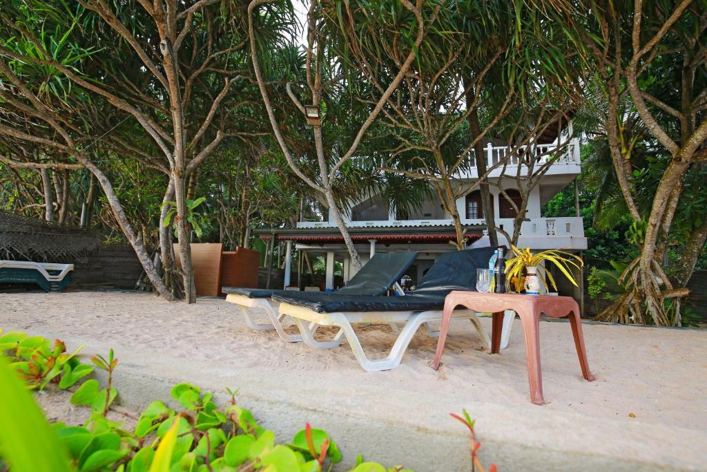 Zahrada ubytování Haus am Meer "Wilde Ananas"