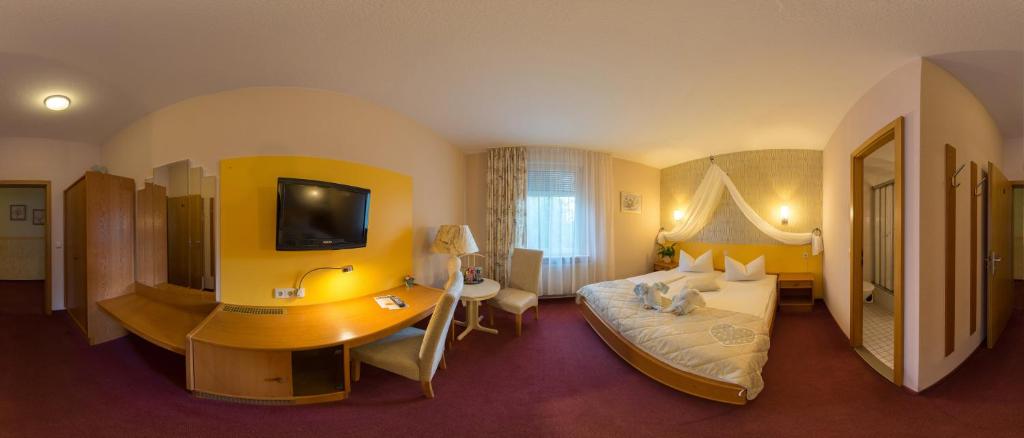 TV a/nebo společenská místnost v ubytování Hotel zur Post in Wurzen