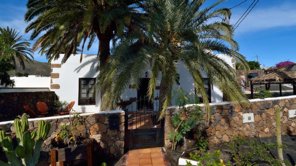 a house with a palm tree and a stone wall at Finca Villa Lucía in Mácher