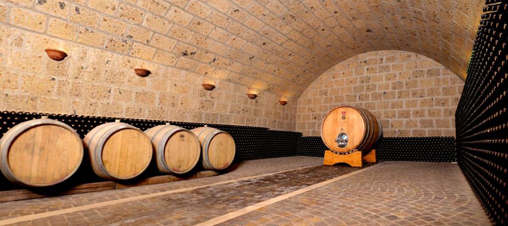 Fotografie z fotogalerie ubytování Fattoria Lucciano v destinaci Borghetto