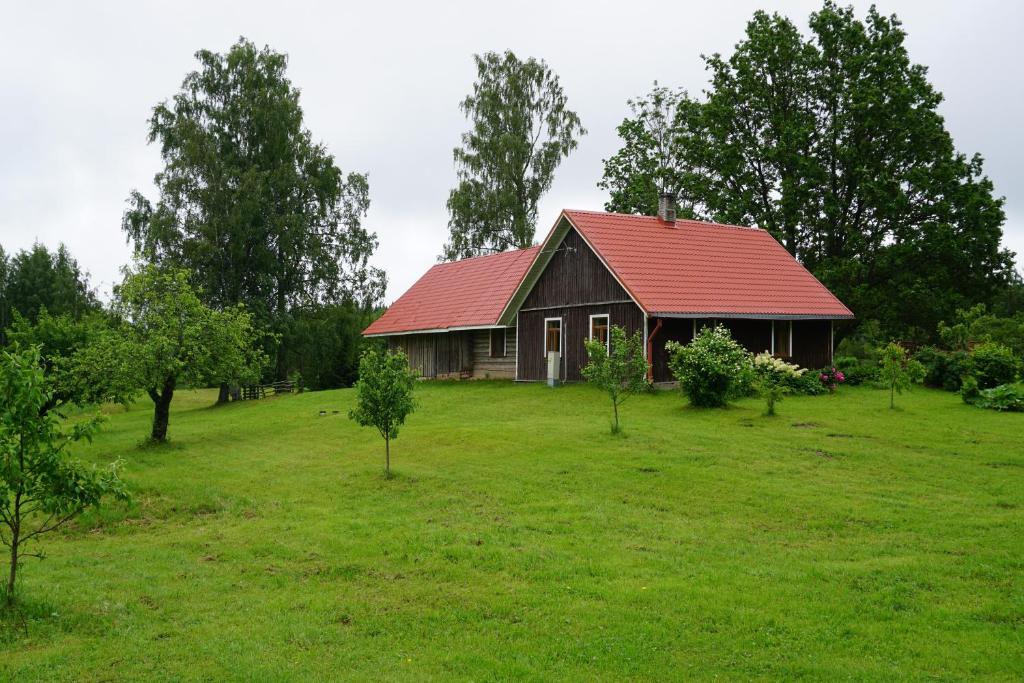 Κήπος έξω από το Kullipera Holiday House in Haanja