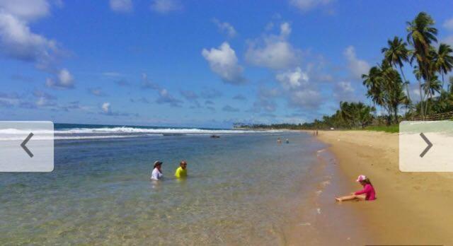  Flat Beach Class Muro Alto