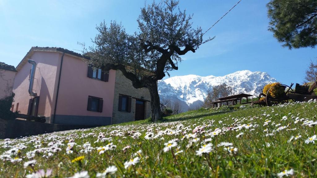 una casa en una colina con un campo de flores en La via del parco en Arsita