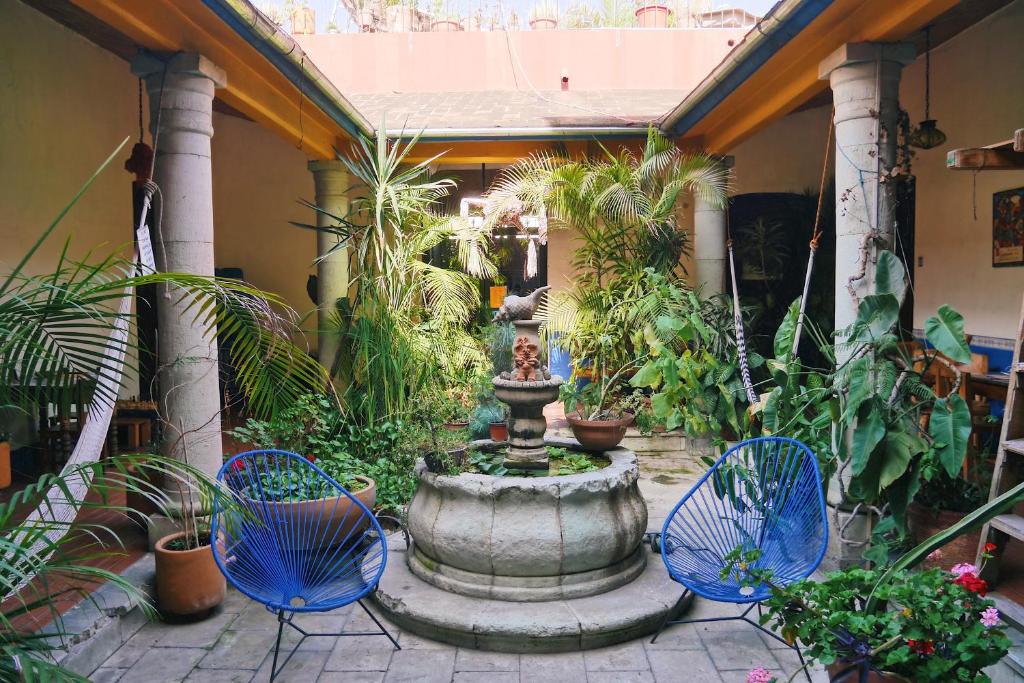 un patio con una fuente, sillas y plantas en Hostal Luz de Luna Nuyoo, en Oaxaca City